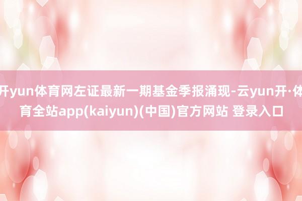 开yun体育网左证最新一期基金季报涌现-云yun开·体育全站app(kaiyun)(中国)官方网站 登录入口